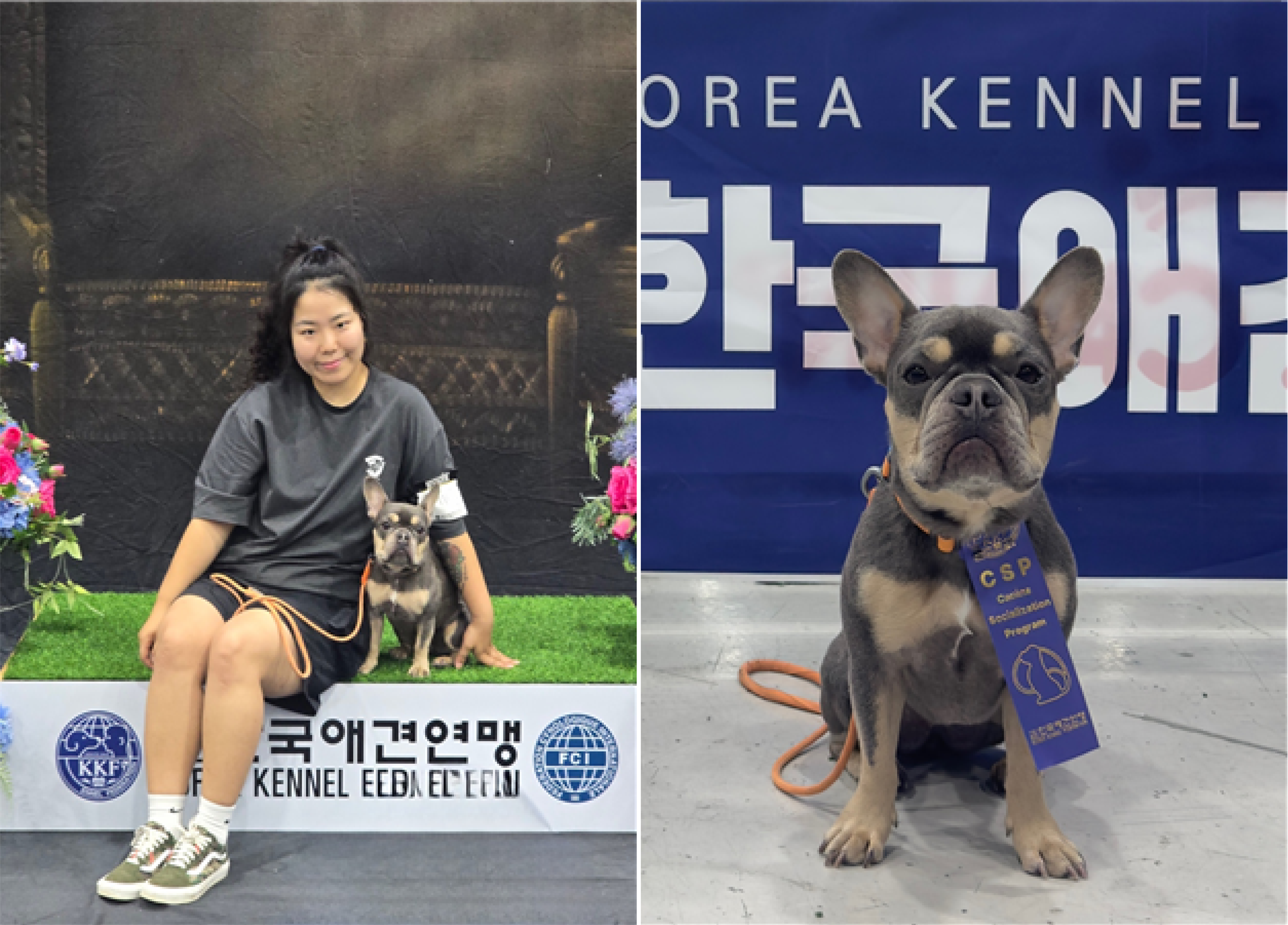 안산대학교 동물매개케어학과 KKF한국애견연맹 주최 반려견 사회화(CSP) 테스트 전원 합격 쾌거2.png